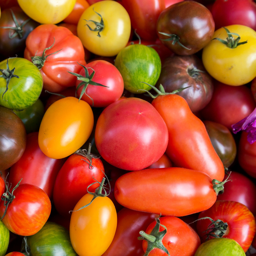 la tomate